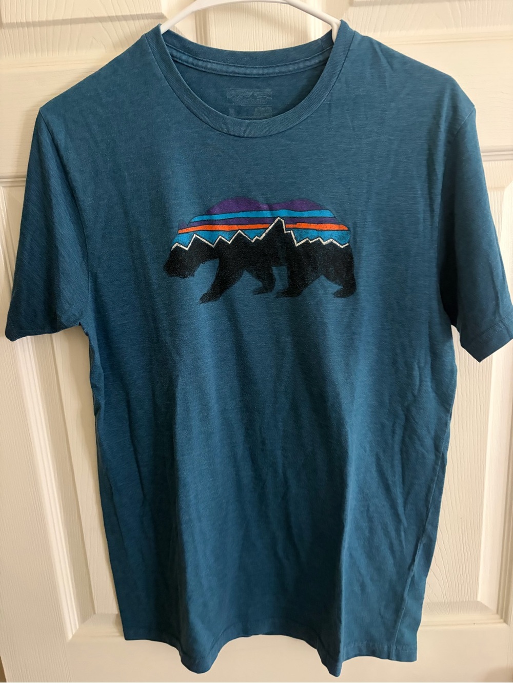 Men's Teal Patagonia Graphic Bear T-Shirt - Casual Outdoor Style